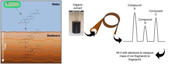 basic principle of organic geochemistry